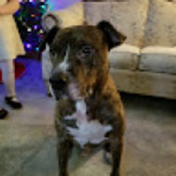 Meet your Posher, Jennifer marie - Picture 1 of 1